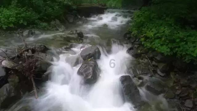 逃离森林湖畔